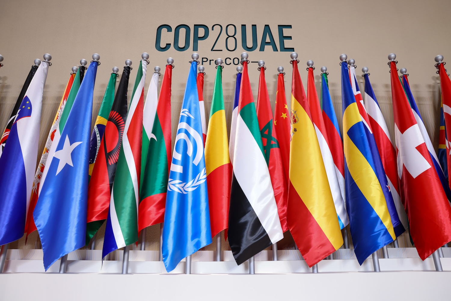 COP28 UAE flags